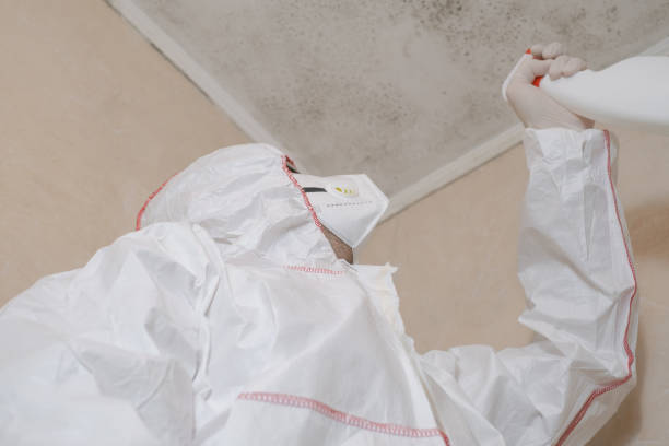 Best Emergency Mold Removal  in Woodville, OH